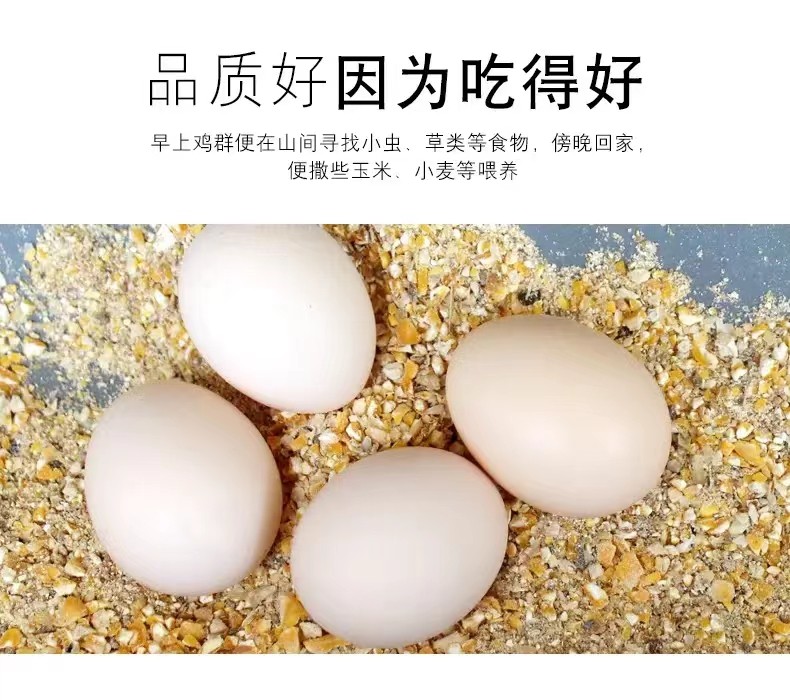 來自生態農場山林散養的溜達雞原生態雞蛋批發